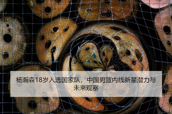 杨瀚森18岁入选国家队，中国男篮内线新星潜力与未来观察